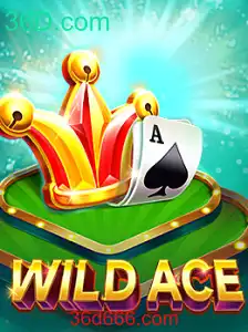 WildAce: A Nova Sensação no Mundo dos Jogos